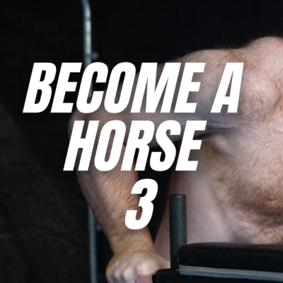Becoming a Horse 3